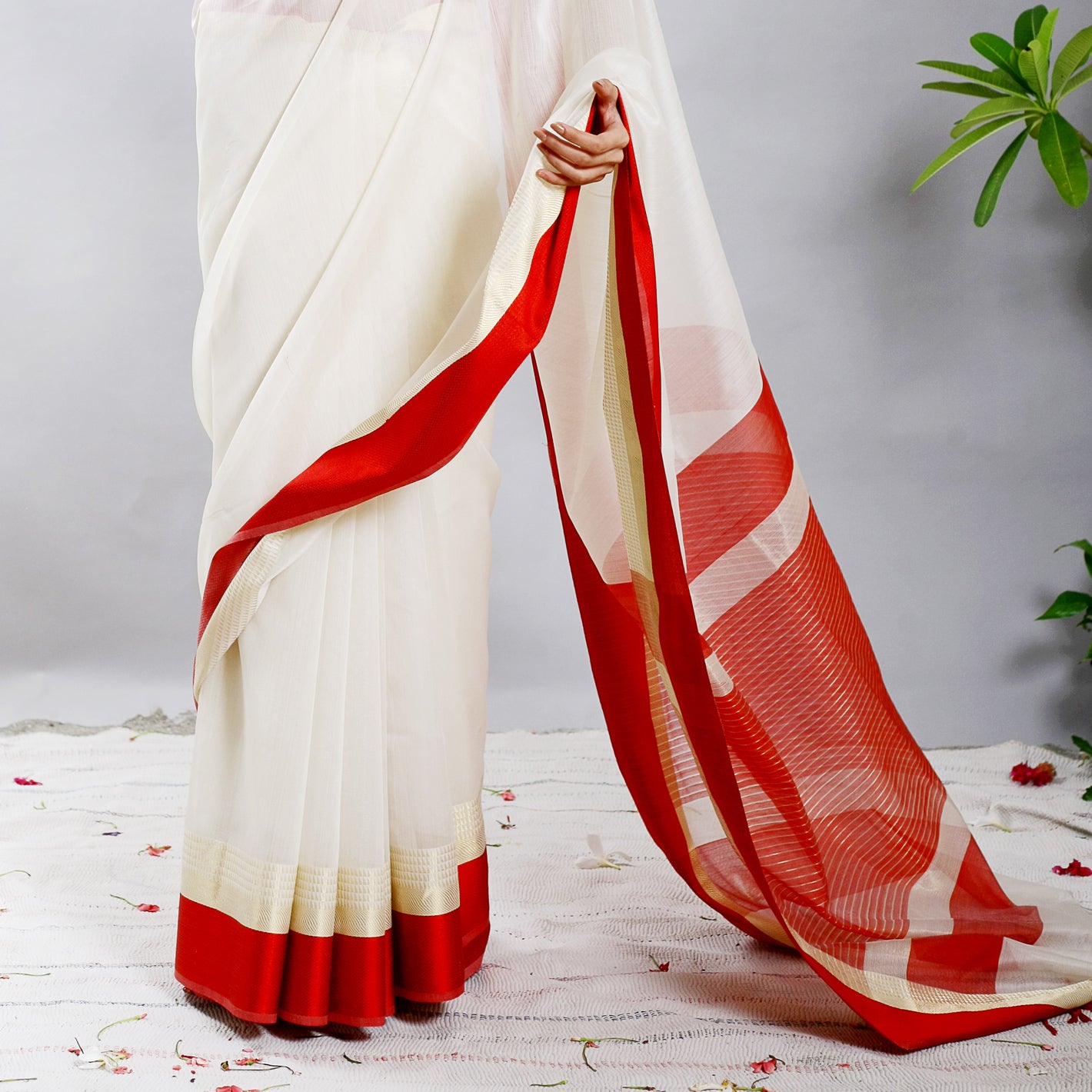 Dhunn Silk Cotton Ecoloom Saree